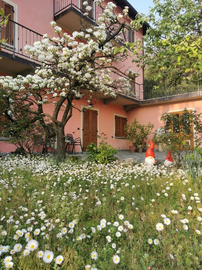 La Baia D'Acquadolce Villa Bolzano Novarese Exteriör bild